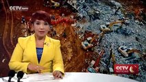 CCTV NOTICIAS 12/27/2015 20：00