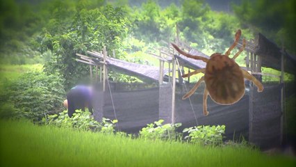 야생 진드기 비상...올 첫 사망자 발생 / YTN