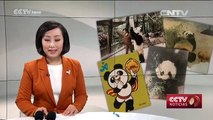La panda “Basi” celebra su 35 cumpleaños