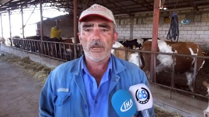 Bir ayda üç kez artan yem fiyatları 1 lira 80 kuruştan, 12 lira 80 kuruşa yükseldi