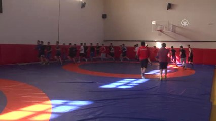 Üç Kardeş Rusya'da Şampiyonluk İçin Mindere Çıkacak - Sivas