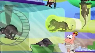 Phineas and Ferb S 4 E 27