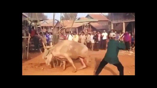 MỖI ÁC NGHIỆP LÀ MỘT TỜ GIẤY NỢ TRẢ ĐỜI NÀY HOẶC TRẢ MAI SAU VAY BAO THÌ TRẢ CŨNG BAO XƯA NAY NHÂN QUẢ LUẬT NÀO NỂ AI