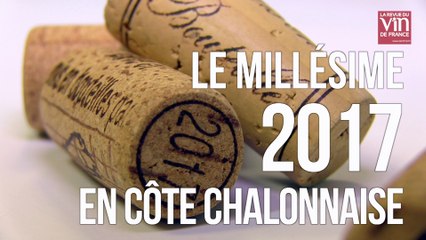 Côte chalonnaise : 2017 est le millésime de Givry !