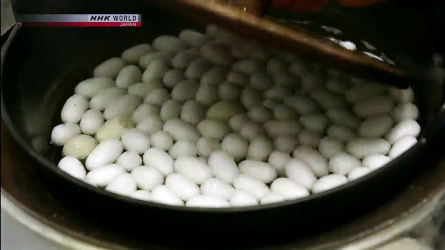 CYCLE AROUND JAPAN - Autumn - World Heritage Sites, Tomioka to Nikko - (1)-007