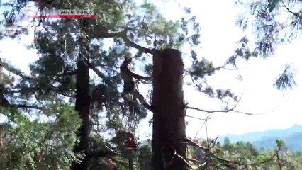 CYCLE AROUND JAPAN - Autumn - World Heritage Sites, Tomioka to Nikko - (1)-010