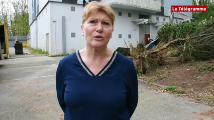 Quimper. ​Déconstruction des Oiseaux à Kermoysan : c’est parti !