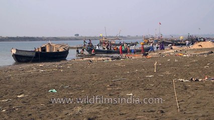 Download Video: Human Defecation along Ganga- sad shortage of toilets and clean water in India