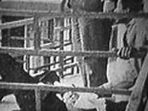 Martin Luther King - To Sufjan Stevens Music