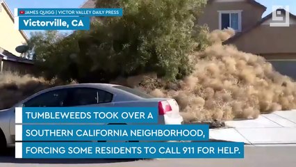 Tumbleweeds Pile Up in Neighborhood