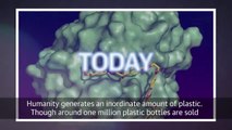 Scientists accidentally make bacteria better at eating plastic | Engadget Today