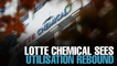 NEWS: Lotte Chemical sees improved utilisation rate in 2018