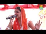 Sapna Ragni || Pitasare Samjhauta Karle || Dadri Toye Gaushala Compitition || Mor Haryanvi