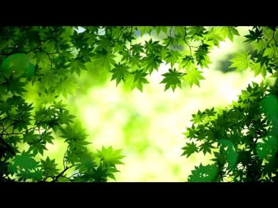 Soft, Meditation Deep Sleep Music: Inner Peace Music, Relaxing Music, Sleeping Music, Soothing Music