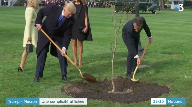 Donald Trump et Emmanuel Macron plantent un chêne à la Maison Blanche - ZAPPING ACTU DU 24/04/2018