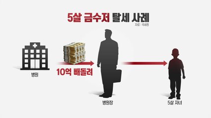 주식·부동산 부자 '금수저 탈세'에 칼 빼들었다 / YTN
