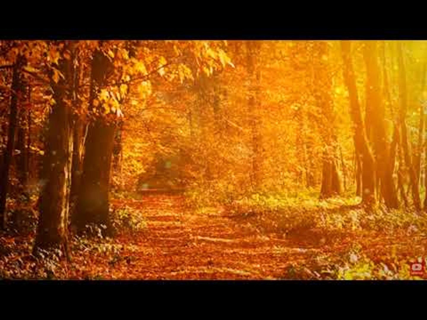 Relaxing Meditation Santoor Music: Inner Peace Music, Relaxing Music, Sleeping Music