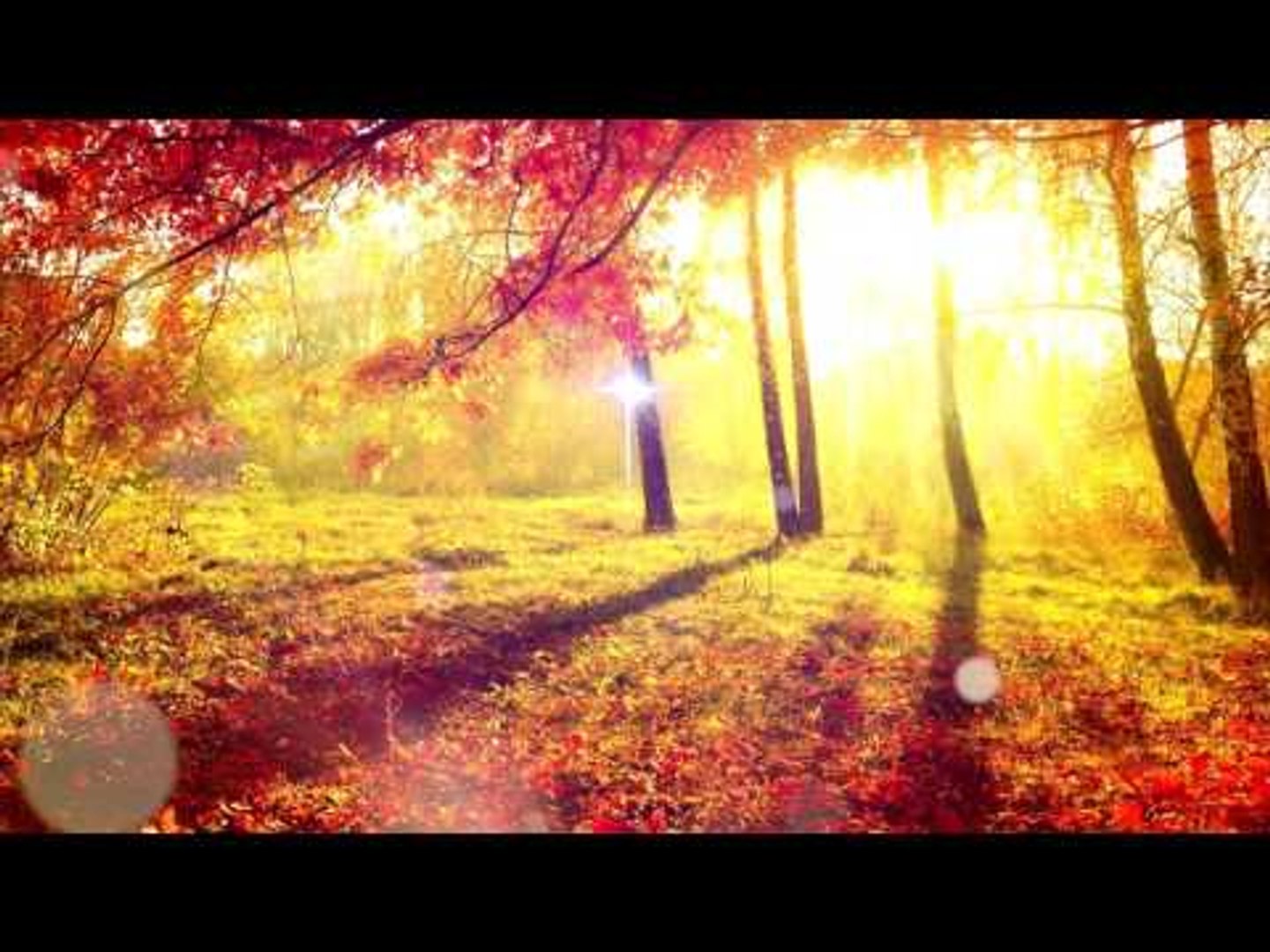 1 HOUR - Meditation Relax Music, Nature Sounds, Relaxing Music, Positive Music, Soft Relax Music
