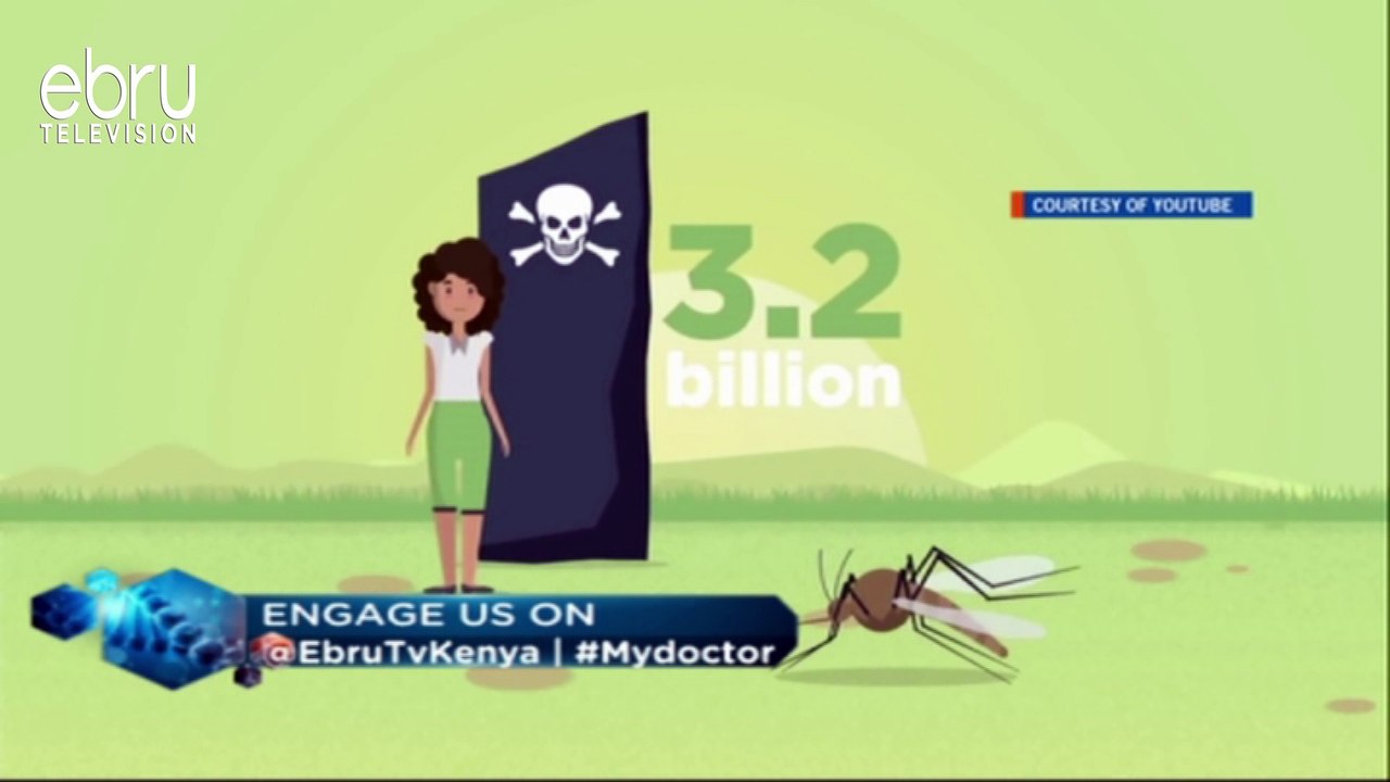 Malaria The Leading Cause Of Death In Sub-Sahara Africa