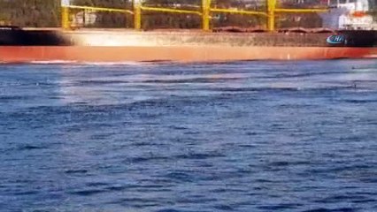 Doğa gözlemcileri, oltalara takılan yelkovan kuşları için uyardı