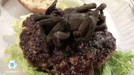 Testez le burger à la tarentule ! - ZAPPING CUISINE DU 24/04/2018