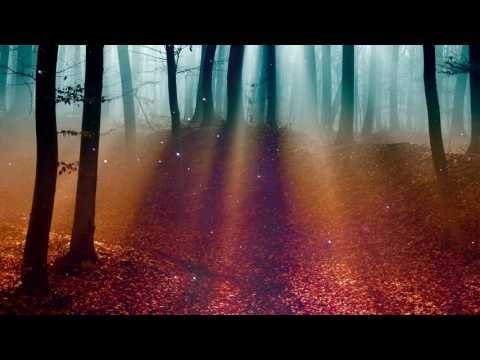 Relaxing Celtic Music, Evening Breeze, Autumn Forest - Relaxing Music With Nature Sounds