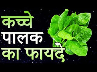 कच्चा पालक खाने से मिलते है ये फायदे | पालक के गुण और फायदे  | रोचक जानकारियां