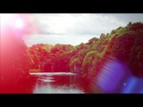 Relaxing Music: With Nature Sounds, Soothing Relaxing Waterfall Music, Study, Meditation,Sleep Music