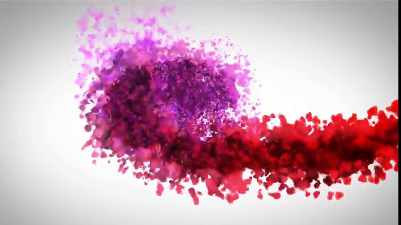 Biker dog waiting for his owner to lift, Try Not To Laugh At This Funny Dog Video