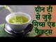 हरी चाय के लाभ | हरी चाय के फायदे |  ग्रीन टी से जुड़े मिथ्स एंड फैक्ट्स | Health Tips