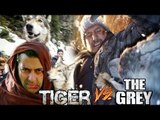 Salman Khan ने Tiger Zinda Hai एक्शन सीन्स के लिए THE GREY एक्शन सीन्स की की नक़ल !
