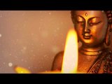 Harp Instrumental Music : Amazing Music for Yoga Relaxing Meditation, Study and Concentration