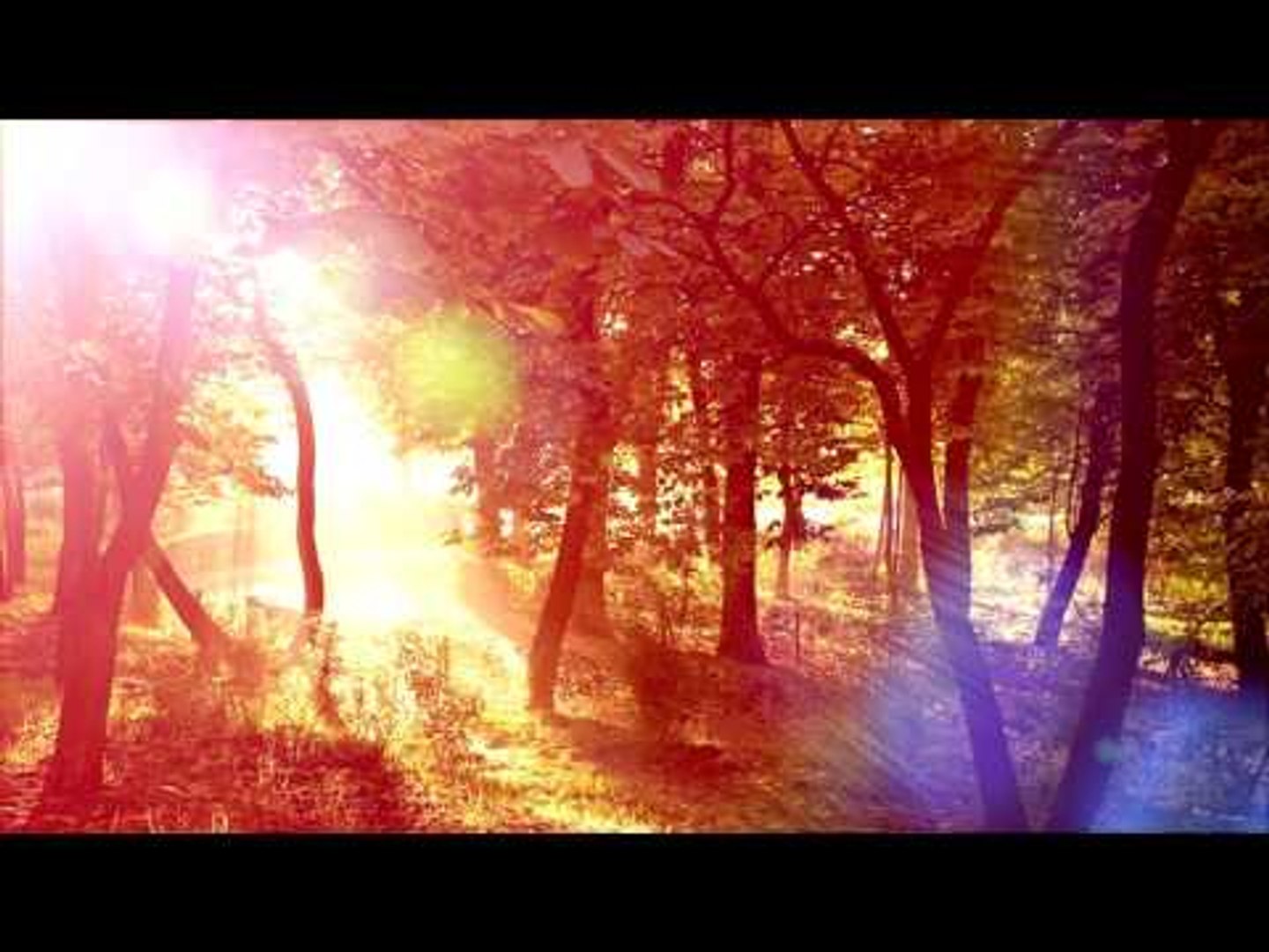 3O Mins Of Healing Meditation Music: Relaxing Music, Calming Music, Soothing Music, Soft Music