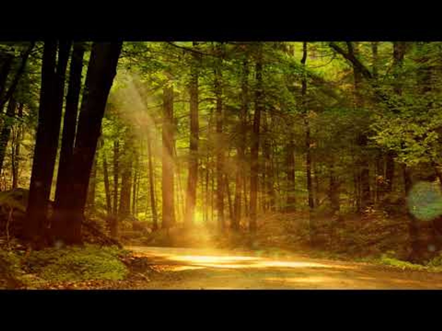 Indian Flute Music : Relaxation Music, Soothing Music, Calming Music, Yoga Music, Healing Music