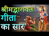 Bhagwat Geeta Saar In Hindi | भगवत गीता सार हिंदी | रोचक जानकारियां - Interesting Information