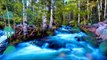 Relaxing Music With Nature Sounds - Beautiful Waterfall, Nature Sounds for Study, Meditation, Sleep