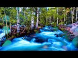 Relaxing Music With Nature Sounds - Beautiful Waterfall, Nature Sounds for Study, Meditation, Sleep