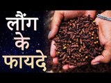 Top Best Health Benefits of Cloves | लौंग के फायदे | रोचक जानकारियां