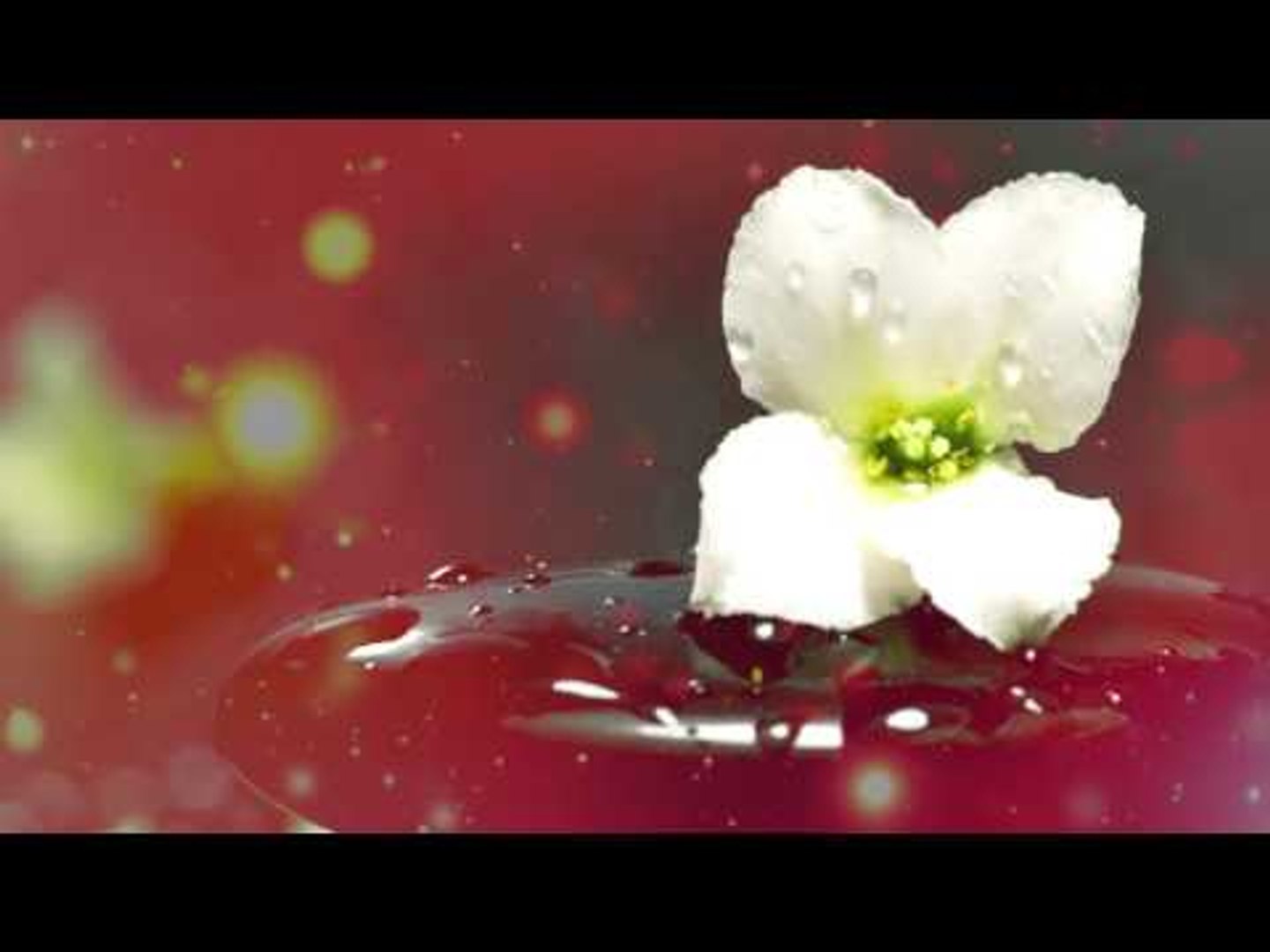 ⁣Zen Music - Stress Relief, Inner Peace Music, Soothing Music, Meditation Relax Music