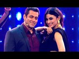 Salman Khan देंगे Mouni Roy को bollywood Movies  में  मौका