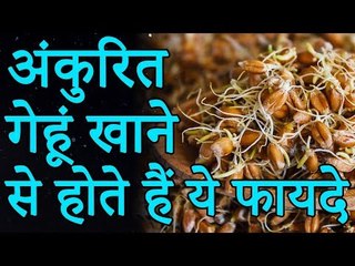 इन अंकुरित चमत्कारी चीज के सेवन से मिलेगा स्वास्थ्य को फायदा | अंकुरित गेंहू खाने के फायदे