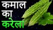 करेले के फायदे | Benefits of Bittergourd | Bitter Gourd Benefits and Side Effects