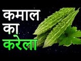 करेले के फायदे | Benefits of Bittergourd | Bitter Gourd Benefits and Side Effects