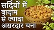 सर्दियों में बादाम से ज्यादा असरदार चना | Chana is More Effective Than Almonds in Winter