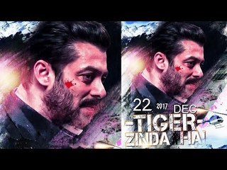 Salman Khan का TIGER ZINDA HAI Fan Made Poster हो गयी वायरल