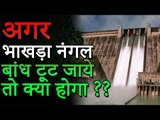 अगर भाखड़ा नंगल डैम टूट जाए तो क्या होगा? | What will happen if Bhakra Nangal Dam Breaks ?