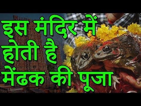 Frog Temple | इस मंदिर में होती है मेंढक की पूजा | रोचक जानकारियां
