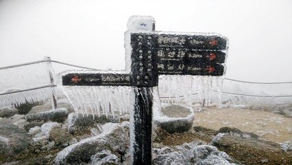 설악산 대청봉에 때아닌 얼음꽃 / YTN