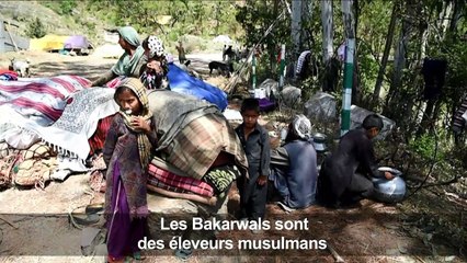 Viol collectif: la funèbre transhumance des nomades cachemiris