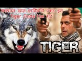 Tiger Zinda Hai में Salman Khan ने भेड़ियों का झुंड के साथ किये Stunts!